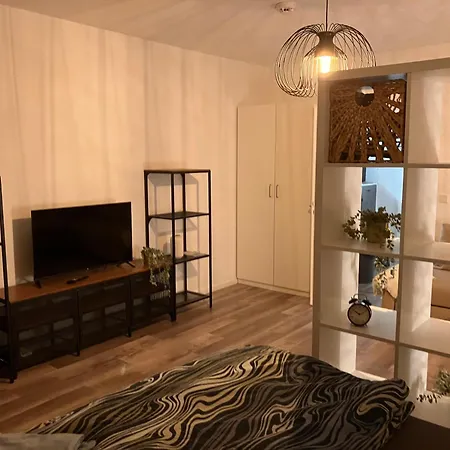 Apartment A&s Munich